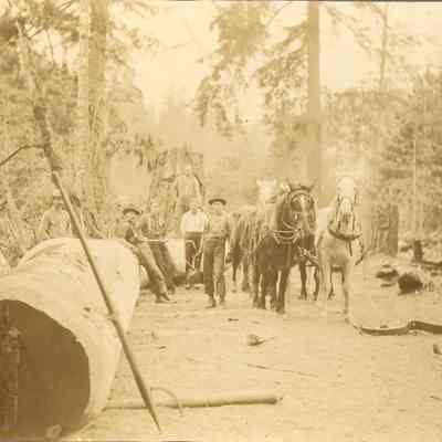 Photograph of Willamette log drive, West Fir, Oregon, circa 1903-1904
