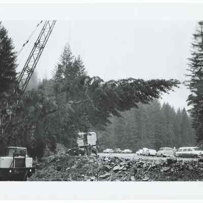 Photograph of the 1960's National Christmas Tree, Oregon's Presentation