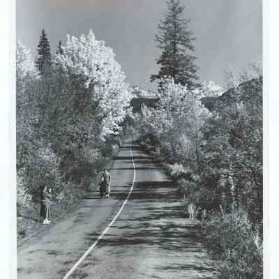 Photograph of McKenzie River Pass through the Cascade mountains, Oregon, circa 1969
