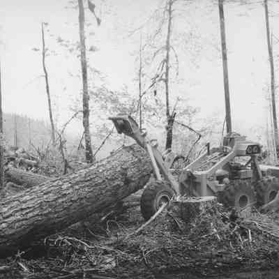 Photograph of Logging Arch