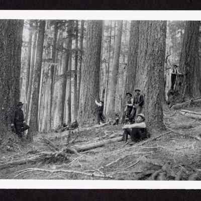 Photograph of logging crew, Lane Country, Oregon, 1901