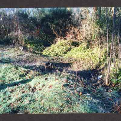 Photograph of Glenwood Cemetery Grave Markers, 1980-1999