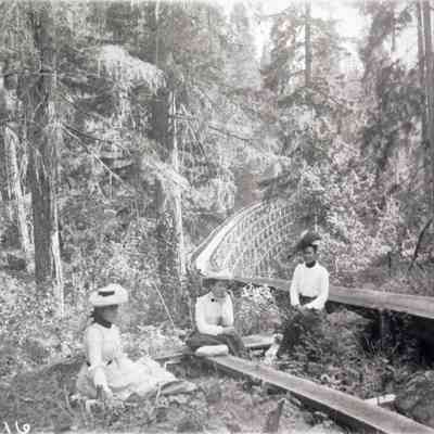 Photograph of women sitting near a high trestle bridge, Saginaw, circa 1900