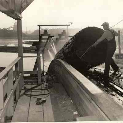 Photograph of worker on a log slip, undated