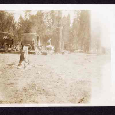 Photograph of 2 cars parked in an unknown forest, undated
