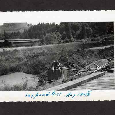Photograph of log pond fill at Booth-Kelly Lumber Mill, Springfield, Oregon, 1948