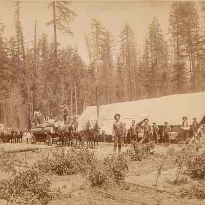 Photograph of unknown logging crew