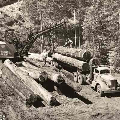 Photograph of Woolley Logging Company loading logs onto a truck, Drain, Oregon, undated