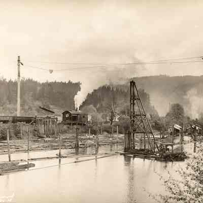 Photograph of Logs being unloaded from a Log Pond, undated
