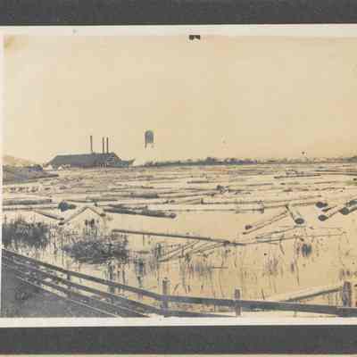 Photograph of Booth-Kelly Lumber Company, Springfield, Undated