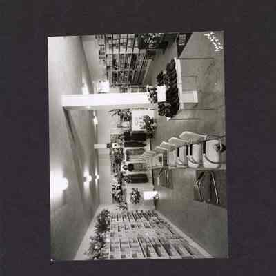 Photograph of Shoe Store, Undated
