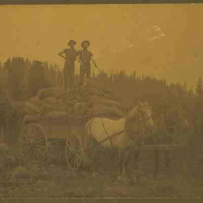 Photograph of Harvesting Hops and Arthur Easton