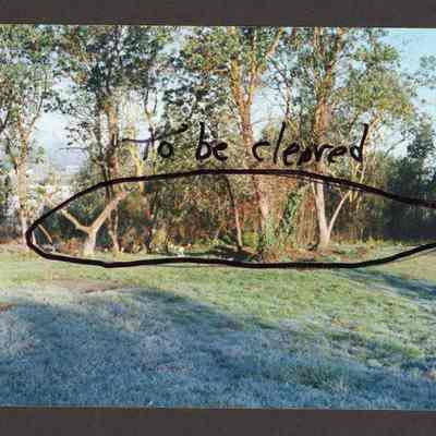 Photograph of To Be Cleared Area in Glenwood Cemetery, 1980-1999