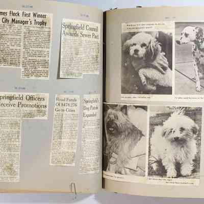 Pages 64 and 65