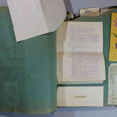 Pages 8 and 9 Constitution and By Laws (page 2)