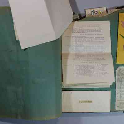 Pages 8 and 9 Constitution and By Laws (page 3)