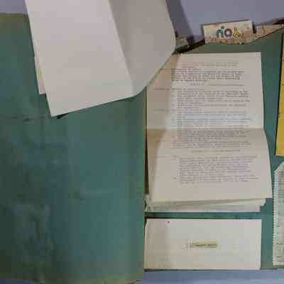 Pages 8 and 9 Constitution and By Laws (page 4)