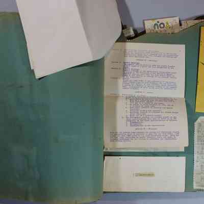 Pages 8 and 9 Constitution and By Laws (page 5)