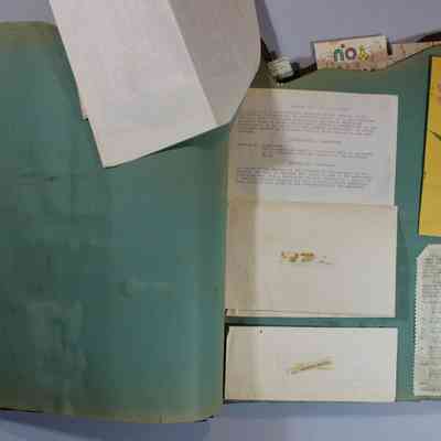 Pages 8 and 9 Constitution and By Laws (page 6)