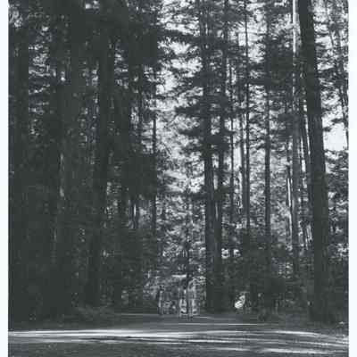 Photograph of Paradise Campground, Willamette National Forest, 1969