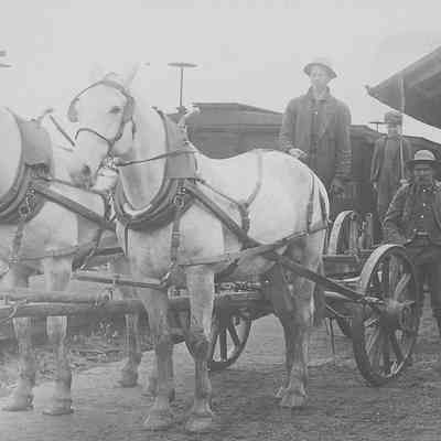 Photograph of Horse Drawn Wagon, 1906