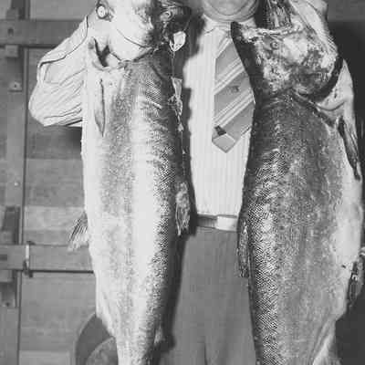 Photograph of Rotary Club fisherman holding two large salmon, date unknown