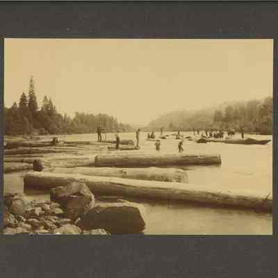 Photograph of log drive on the river, circa 1890-1910