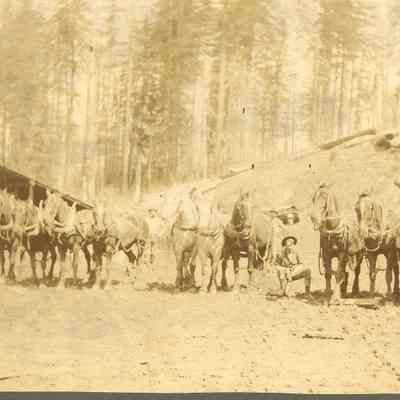 Photograph of three teams of horses, and four unidentified men, Mohawk, Oregon