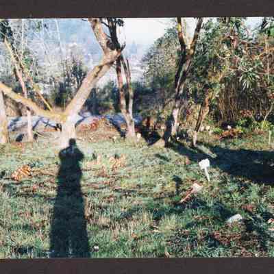Photograph of Glenwood Cemetery, 1980-1999