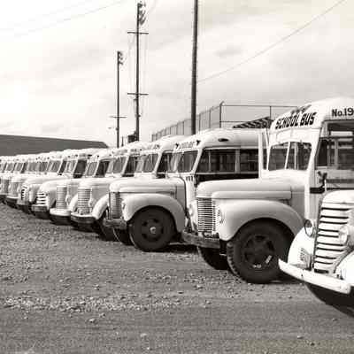 Photograph of fleet of busses parked at Springfield High School, Springfield, Oregon, date unknown