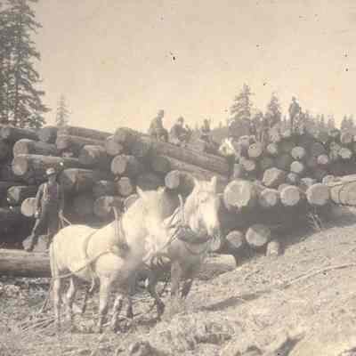 Photograph of Warner Camp banking ground, Little Fall Creek, Fall Creek, Oregon, 1903