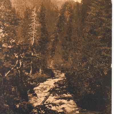 Photograph of the gorge of the McKenzie River, Oregon