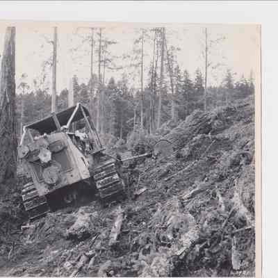 Photograph of a caterpillar skidding logs for Fischer Lumber Company, Marcola, Oregon