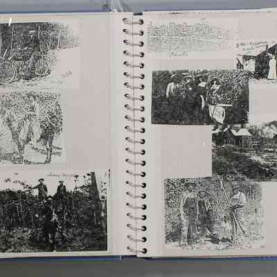 Pages 10 and 11