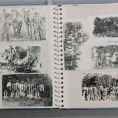 Pages 12 and 13