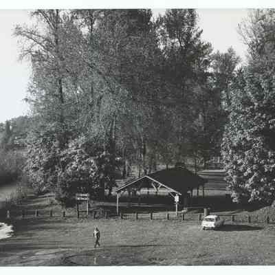 Photograph of Island Park in Springfield, undated