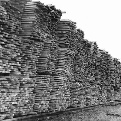 Photograph of Lumber Stacks, Date Unknown