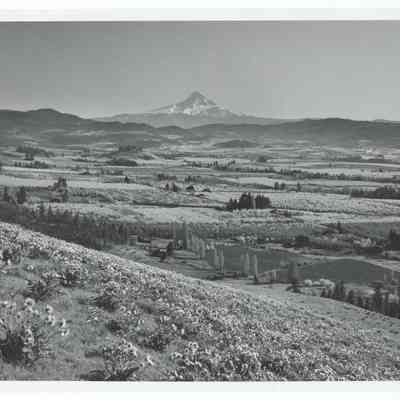 Photograph of Hood River Valley and Mount Hood, Oregon, 1957