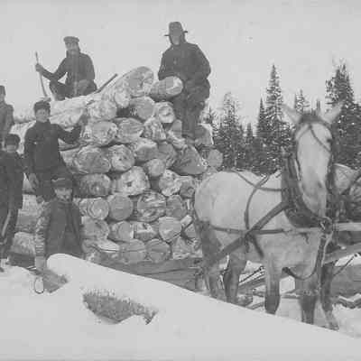 Photograph of horses pulling a sled of logs, undated