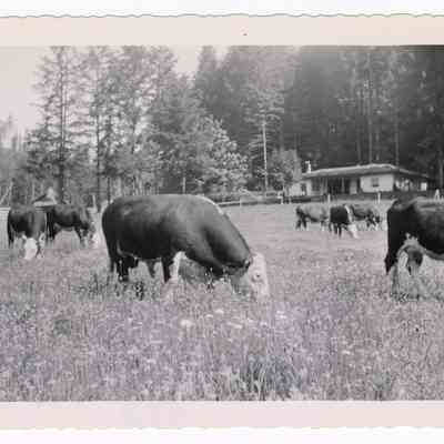 Photograph of Hidden Valley Ranch, Oregon, undated