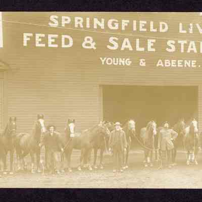 Postcard, Men and Horses, Springfield, Undated