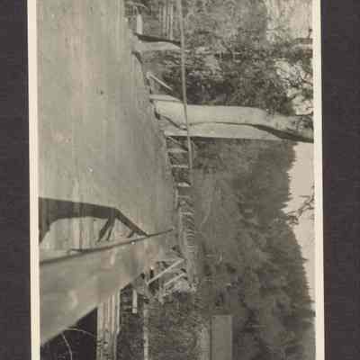 Photograph of a wooden bridge in a forest, undated