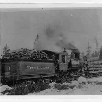 Photograph of a Weed Lumber Co locomotive, Oregon, 1903