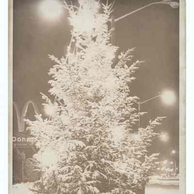 Photograph of a Christmas tree and street covered in snow, Springfield, circa 1970