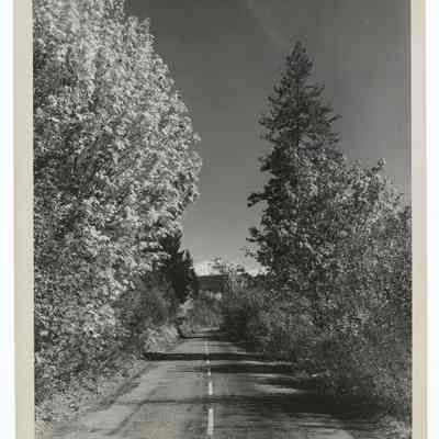 Photograph of the McKenzie Highway, Oregon Cascades, circa 1969