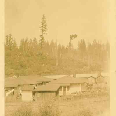Photograph of Labor Day tree topping demonstration at Wendling D row looking northeast, Wendling, Oregon