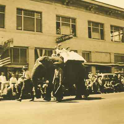 Photograph of Beauty Queens Riding an Elephant, Springfield Industrial Parade, Springfield, OR, 1941