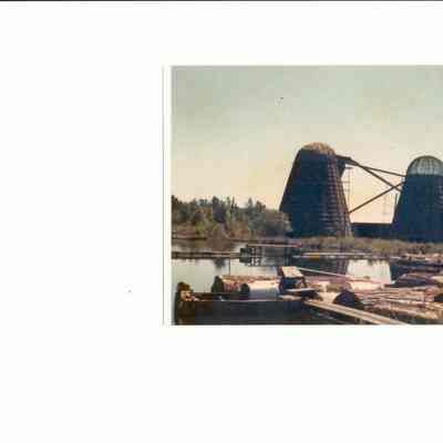 Photograph of Mt. June Lumber Company, Jasper, Oregon, Undated