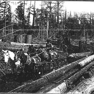 Logging with horses, Saginaw