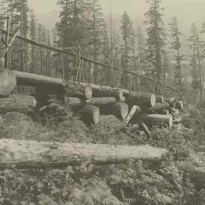 Photograph of log chute, 1906